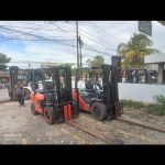 photo_6152084294521179371_y